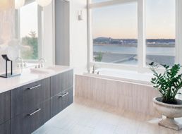 潔凈生活，其他消毒劑輔料